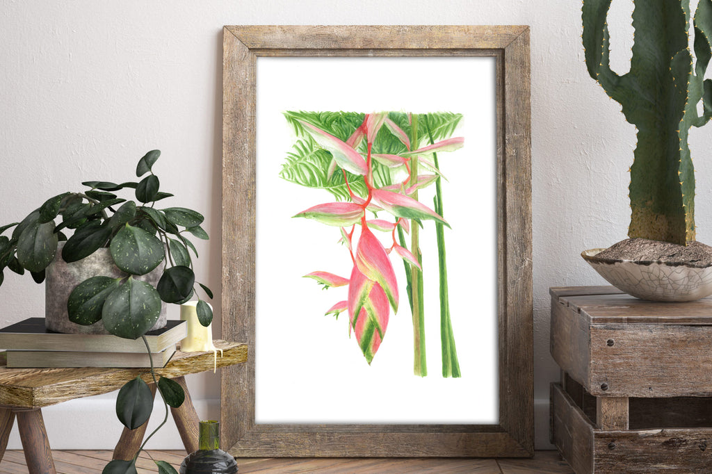 Story of my Heliconia Chartacea painting